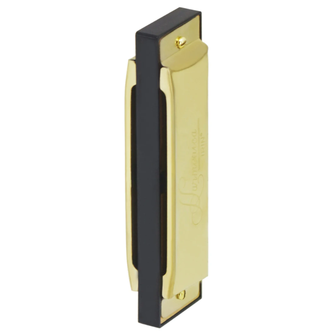 IRIN هارمونيكا 10 فتحات 20 نغم - مراجعة Harmonica 10 Hole وسعره