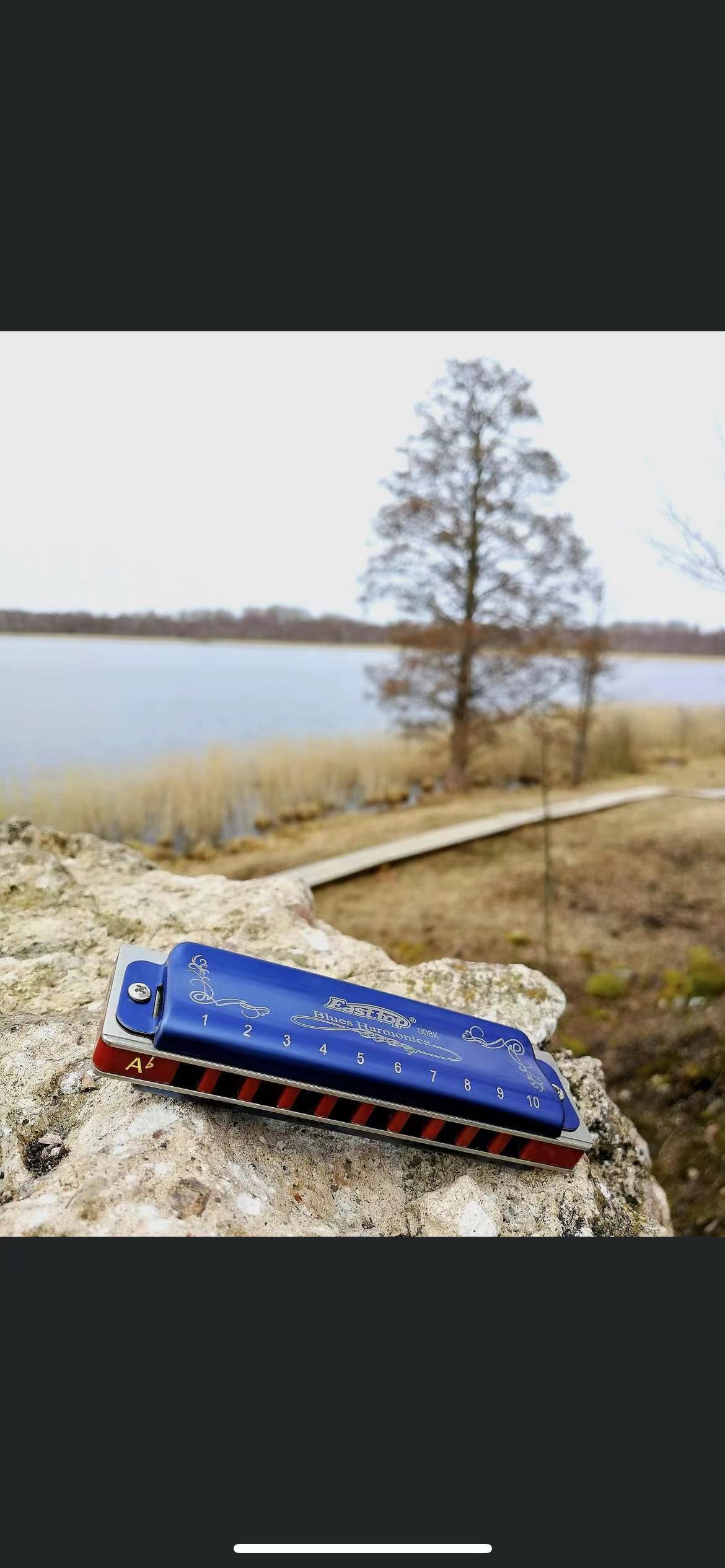 هارمونيكا EASTTOP T008K باللون - مراجعة Harmonica 10 Hole وسعره