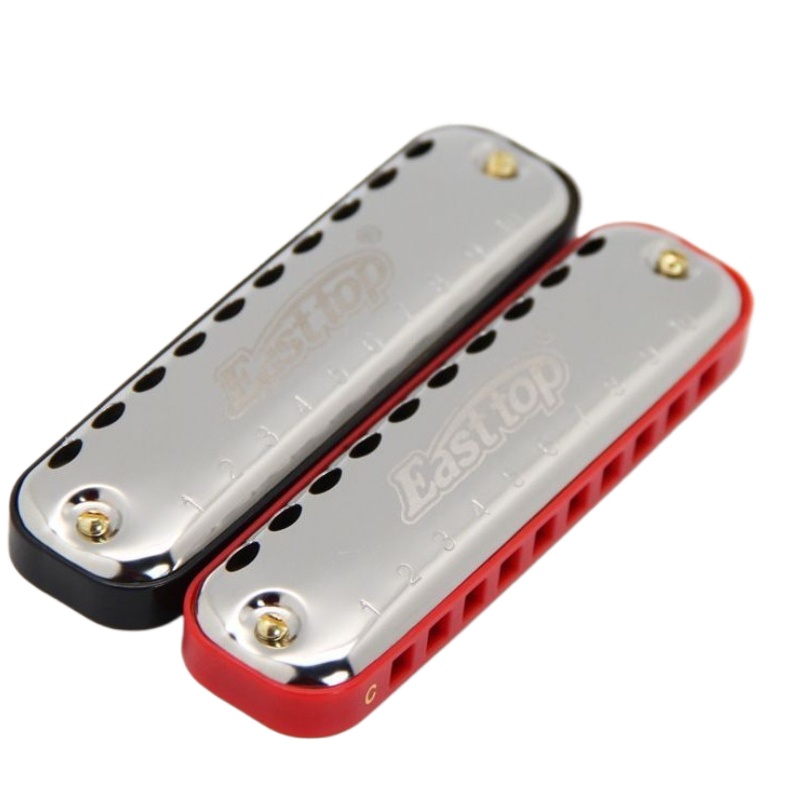 أداة جيب للمبتدئين البلوز هارم - مراجعة Harmonica 10 Hole وسعره
