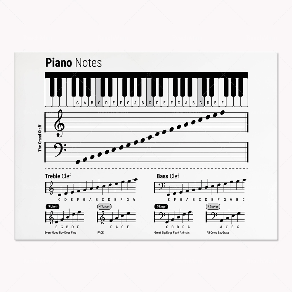 نظرية الجيتار، البيانو، الطيف  - مراجعة Audio Into Music Sheet وسعره